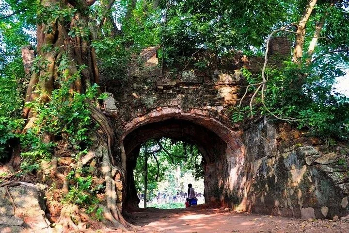Un grande albero cresce sopra una vecchia porta in pietra ad arco di una cittadella.