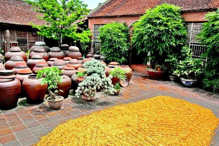 Muchas tinajas grandes de cerámica marrón dispuestas en un patio con vegetación.
